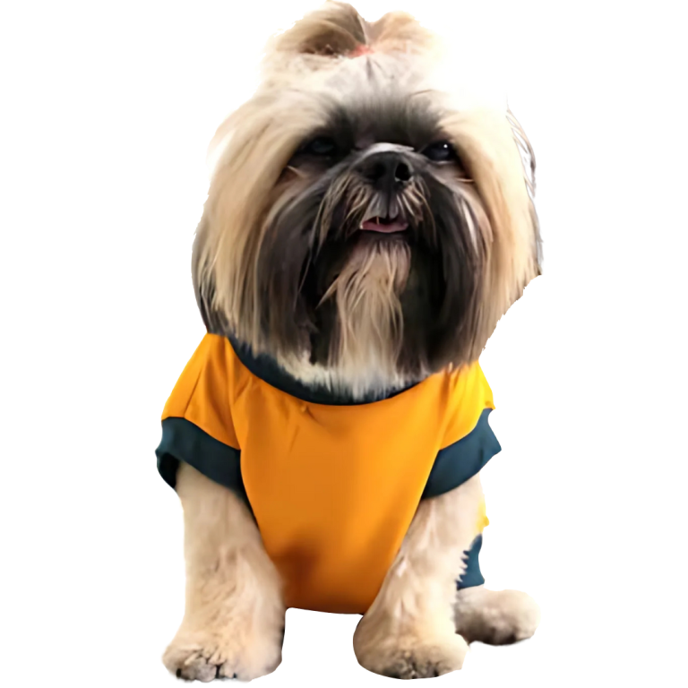 Dog's Yellow T shirt