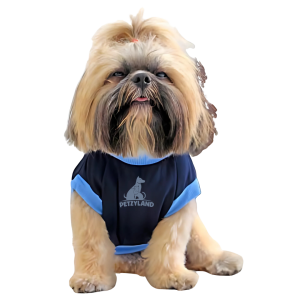 Blue petzyland Tshirt